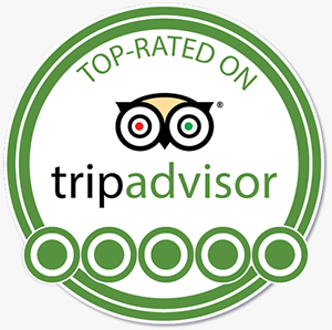 Trip Advisor